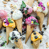 Ice Cream Manufacturers